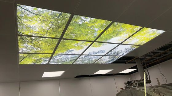Goede prijs. 4800K LED-MRI-LED-verlichting ingebouwde hanger binnenplafondlichten online