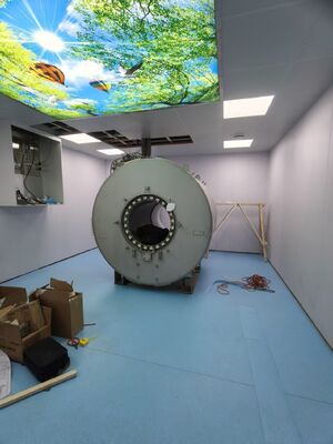 Goede prijs. 100dB Afschermingseffectiviteit RF Afschermingsruimte met Aanpasbare Kamergrootte en 50oHm Ingangsimpedantie voor EMC-testen online